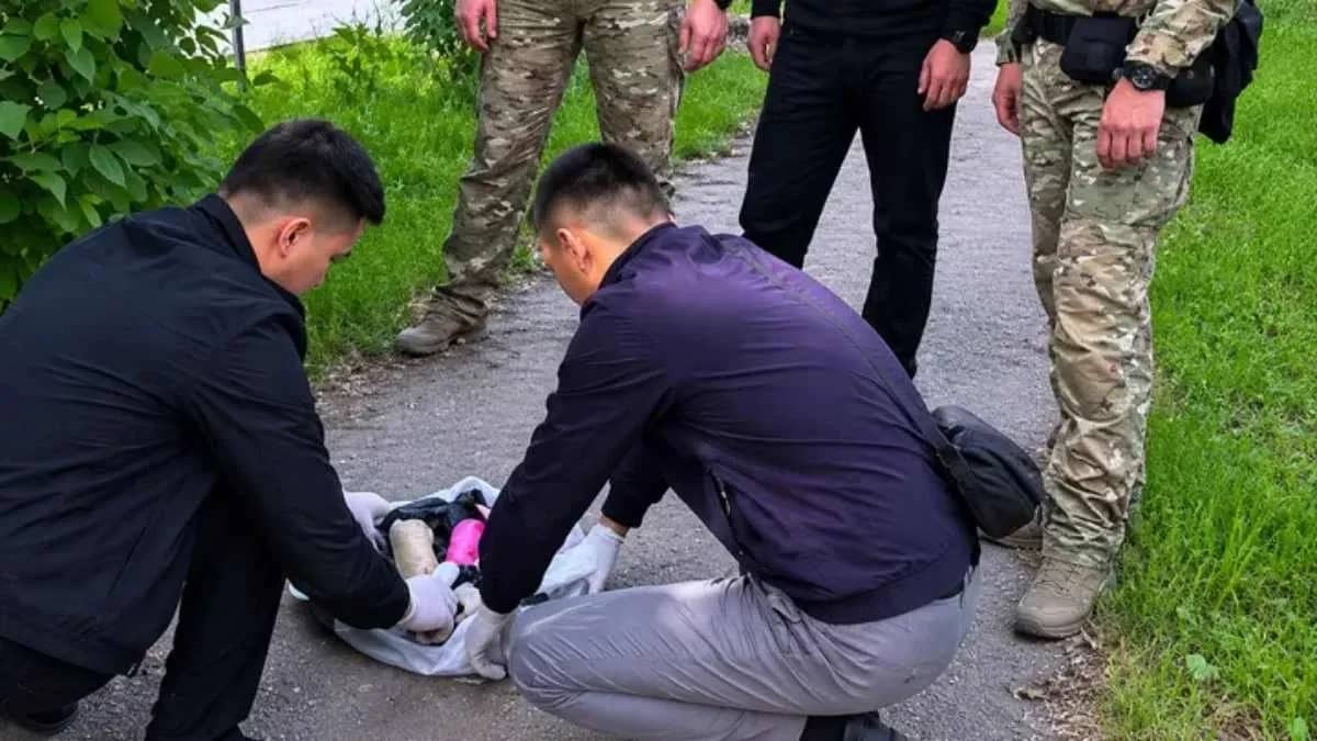 Шымкентте екі азамат ауған апиынын жеткізумен айналысқан