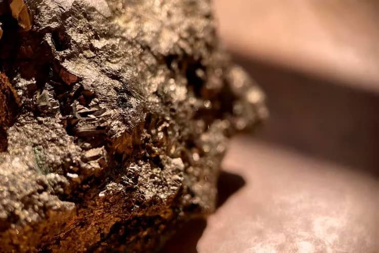 На территории «Семей орманы» незаконно добывали полезные ископаемые