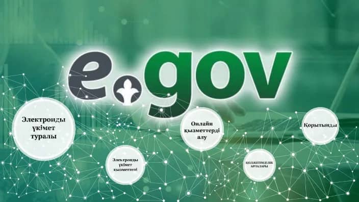 E-Government in Kazakhstan: Why the High Search Interest?