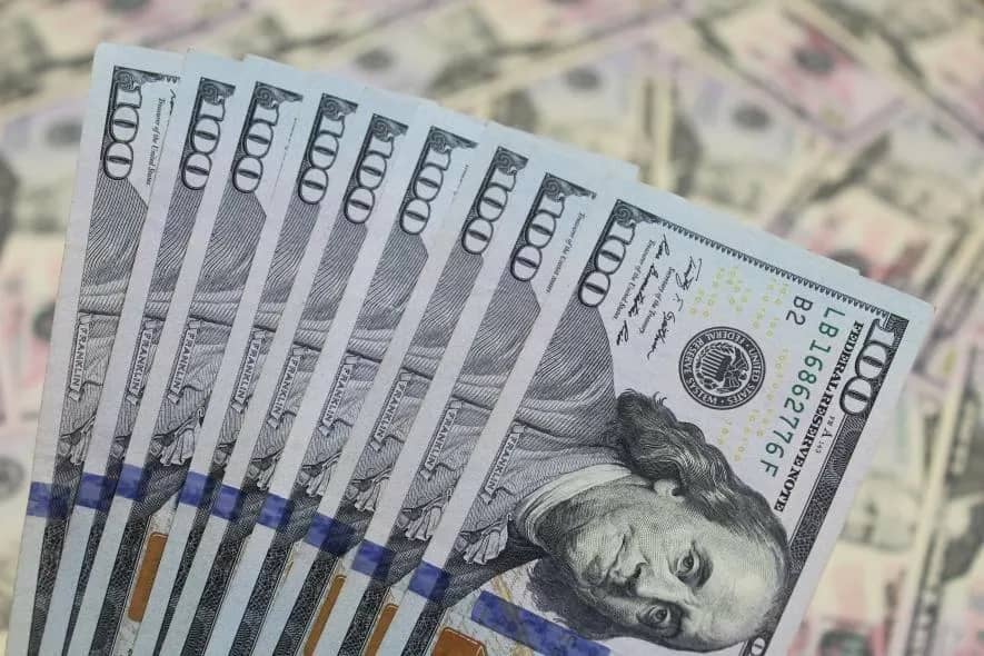 Companies with Large Debts Registered in Almaty Under Kyrgyz Citizen's Name