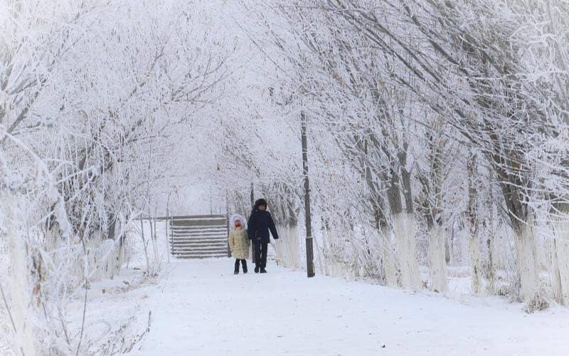 Қызылордада қыс ортасынан ауғанда алғаш рет қалың қар жауды