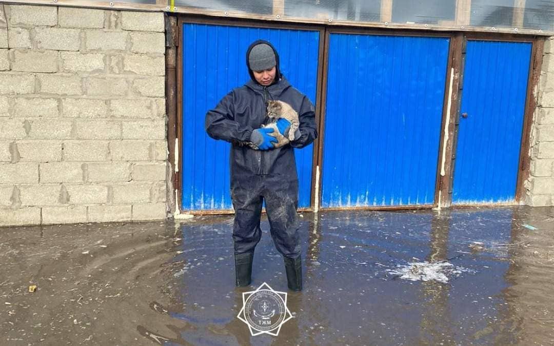 Батыс Қазақстан облысында тасқыннан зардап шеккен 900-ге жуық отбасы ақшалай көмек алды