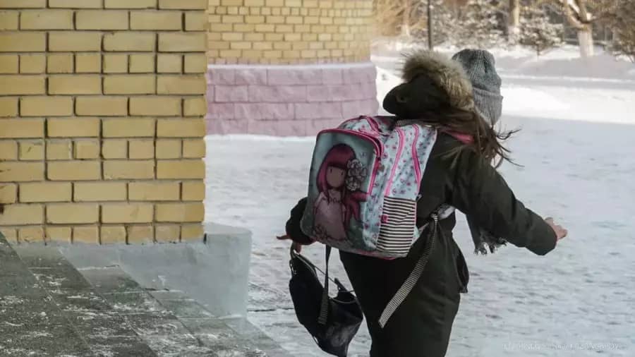 Екі өңірде оқушылар қатты аяздан қашықтан оқиды