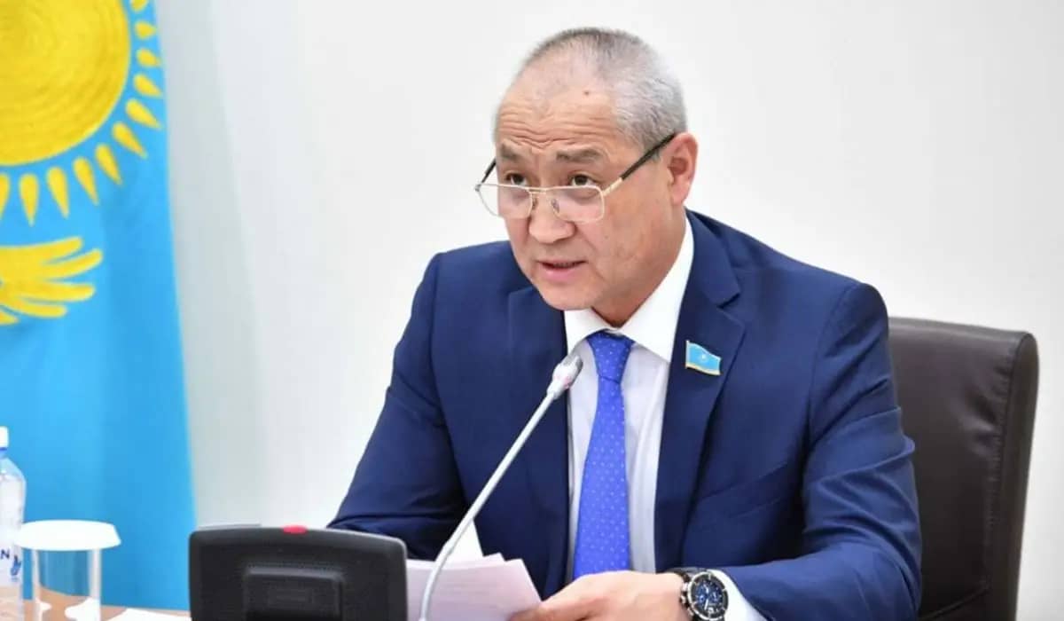 Депутат рушылдық мемлекеттік басқаруға кері әсерін тигізеді дейді