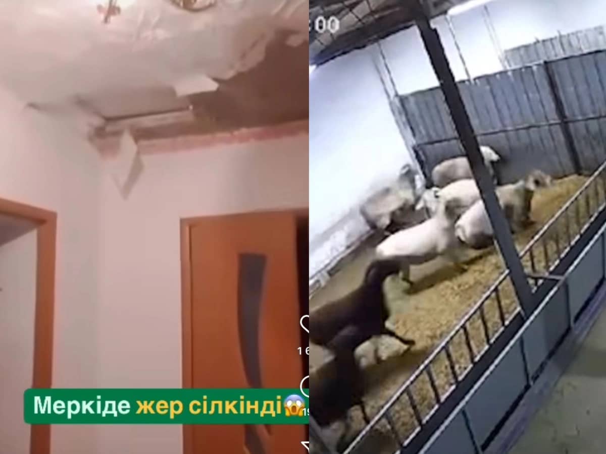 «Қорқынышты, шошып қалдым!» — Түнгі жер сілкінісінің видеосы жарияланды