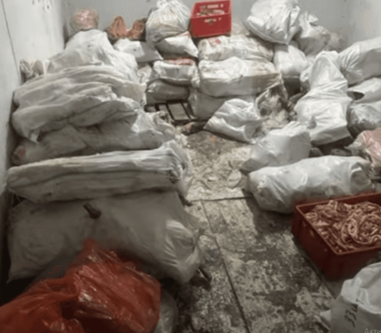Три тонны мяса и 42 туши: в Астане выявили нелегальный цех по переработке мяса с грубыми нарушениями санитарных норм