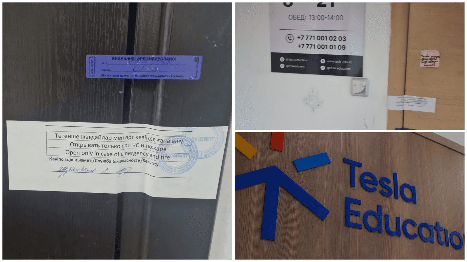 Tesla Education: Білім ошағы ма, әлде қаржылық тұзақ па?