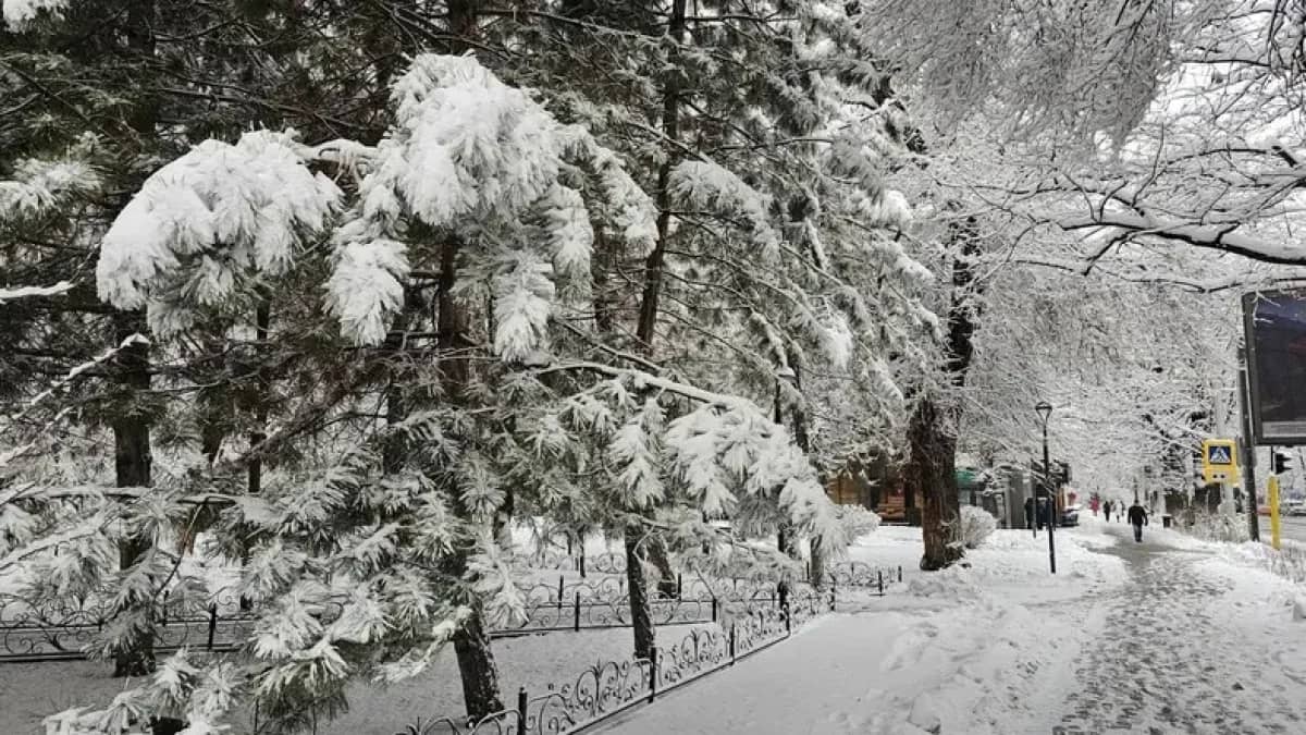 30 градус суық: қатты аяз бен боран соғатын жерлер жарияланды