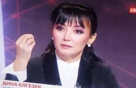 К Дине Елгезек, которая постоянно пишет политическую критику, пришла полиция