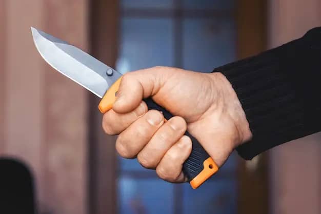 In Taldykorgan, a man previously convicted of murder stabbed a woman to death