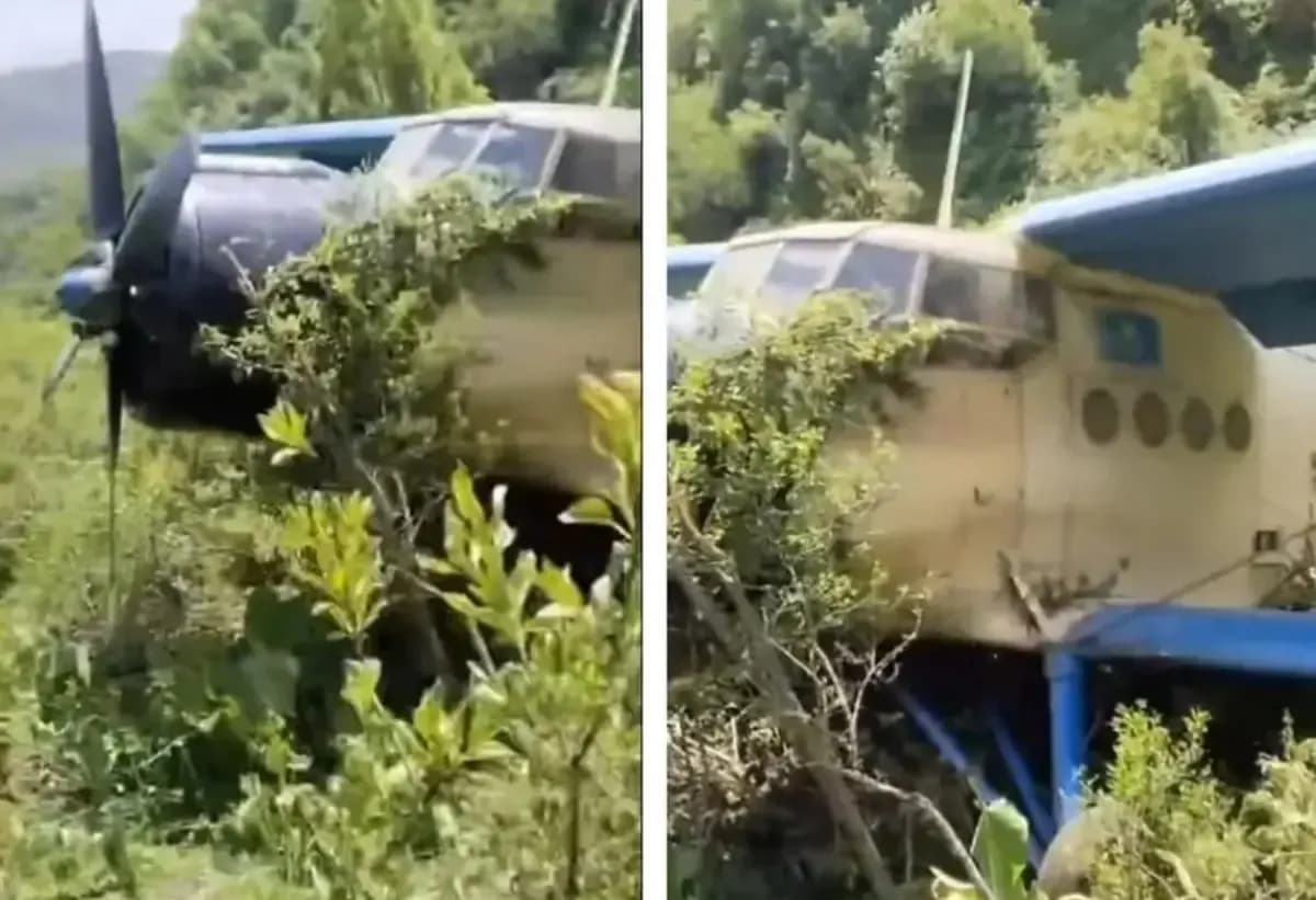 Самолет Ан-2, повисший на деревьях: В Алматинской области воздушное судно едва не врезалось в гору и успело совершить экстренную посадку
