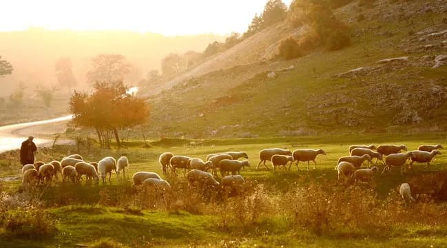     В Акмолинской области обнаружили тело пропавшего пастуха