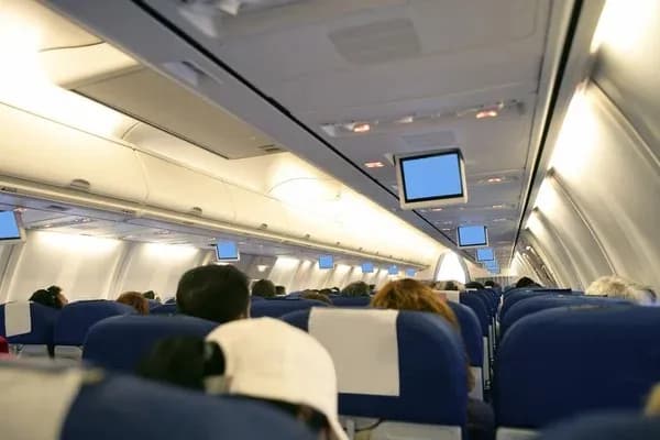 Пассажирка рейса получила штраф за оскорбление полицейского на борту самолета