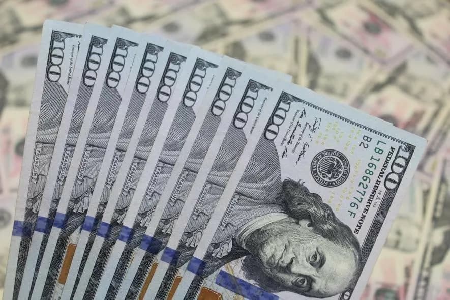 Companies with Large Debts Registered in Almaty Under Kyrgyz Citizen's Name