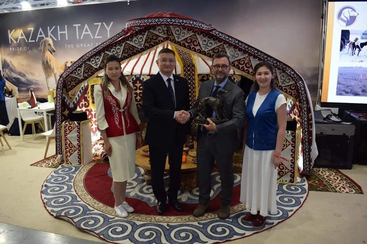 Казахский тазы триумфально представлен на  World Dog Show 2026 в Болонье