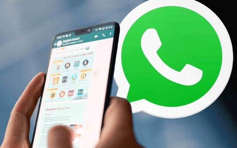 Түркістан облысында интернет-алаяқтық қылмысы көбейген