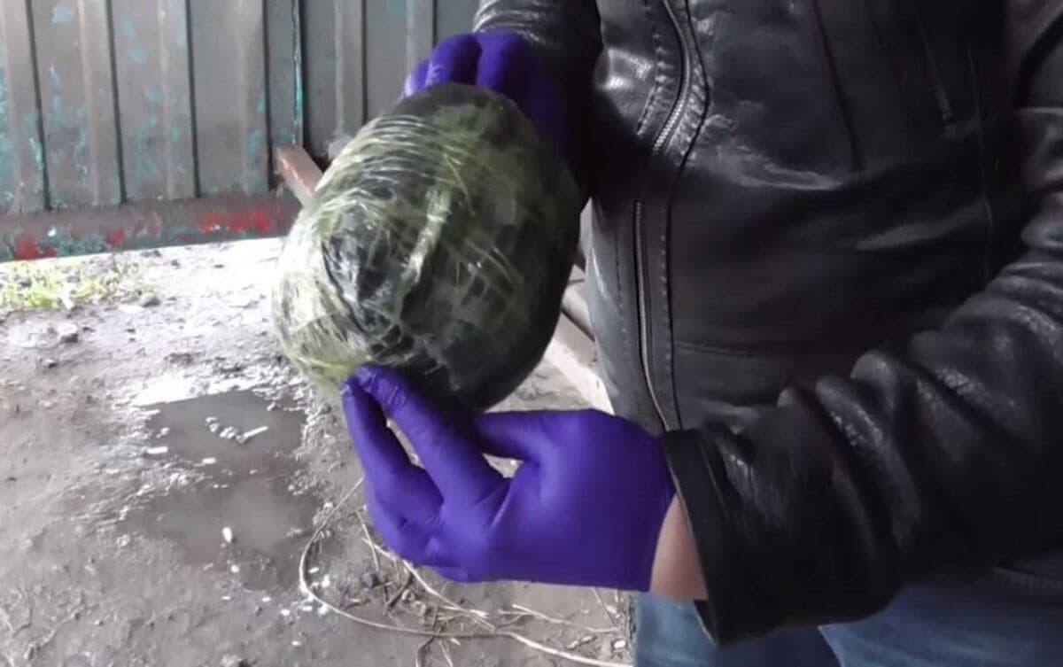 СҚО-да есірткінің ірі партиясы тәркіленді (ВИДЕО)