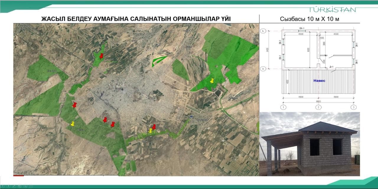 Түркістан: «Жасыл белдеу» аумағынан 5 орманшылар үйі салынуда