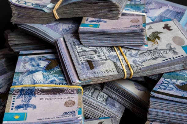Қазақстанда 18–21 жастағы 19 мыңнан аса азамат микронесиесін 90 күннен артық өтей алмай жүр