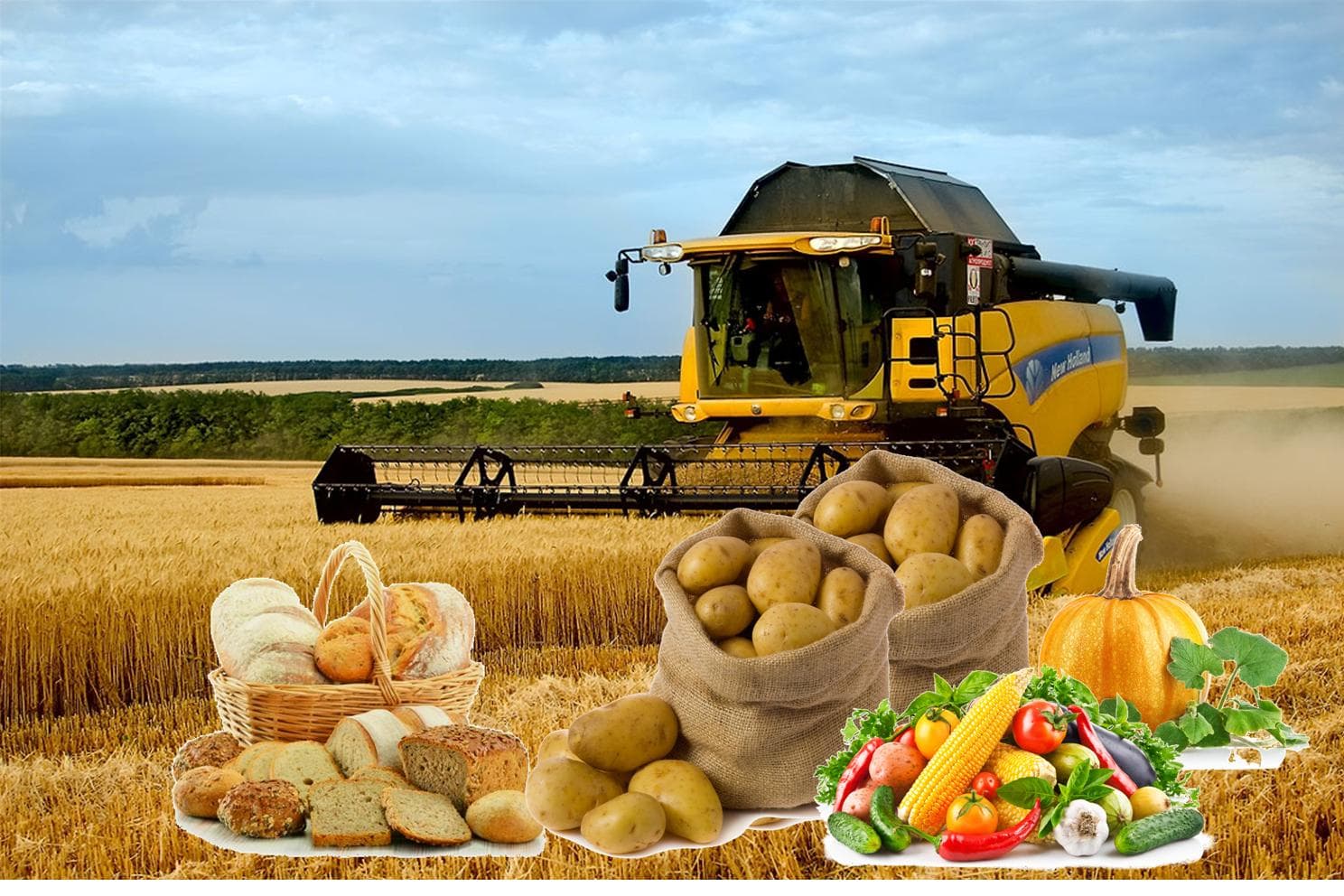 2025 жылы Ақтөбе облысының ауыл шаруашылығын мемлекеттік қолдауға 15 млрд теңге бағытталды