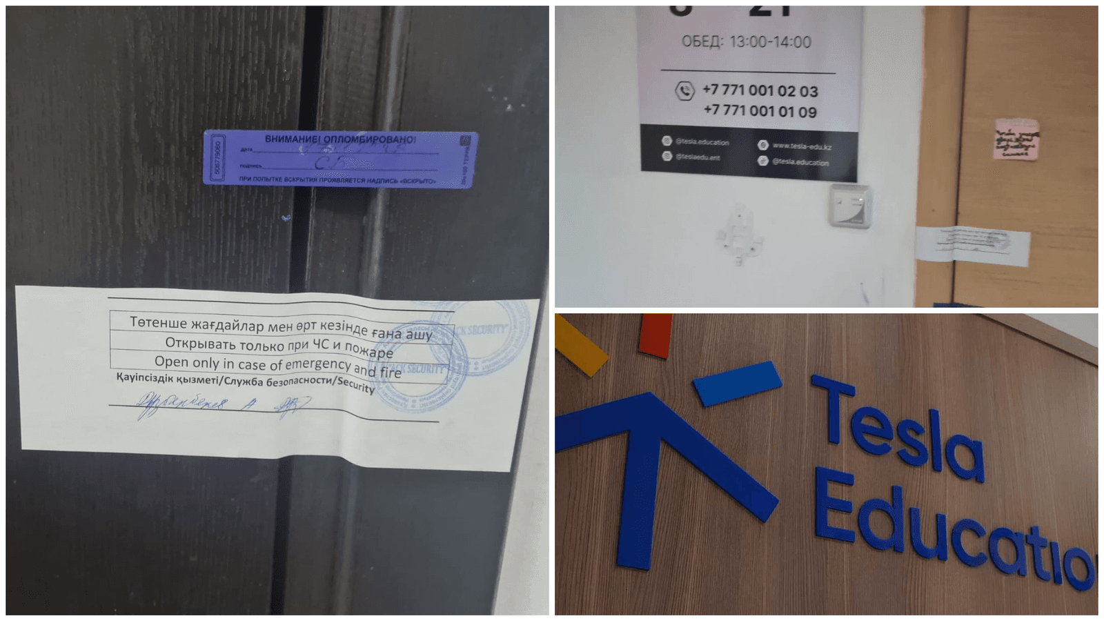 Tesla Education: Білім ошағы ма, әлде қаржылық тұзақ па?