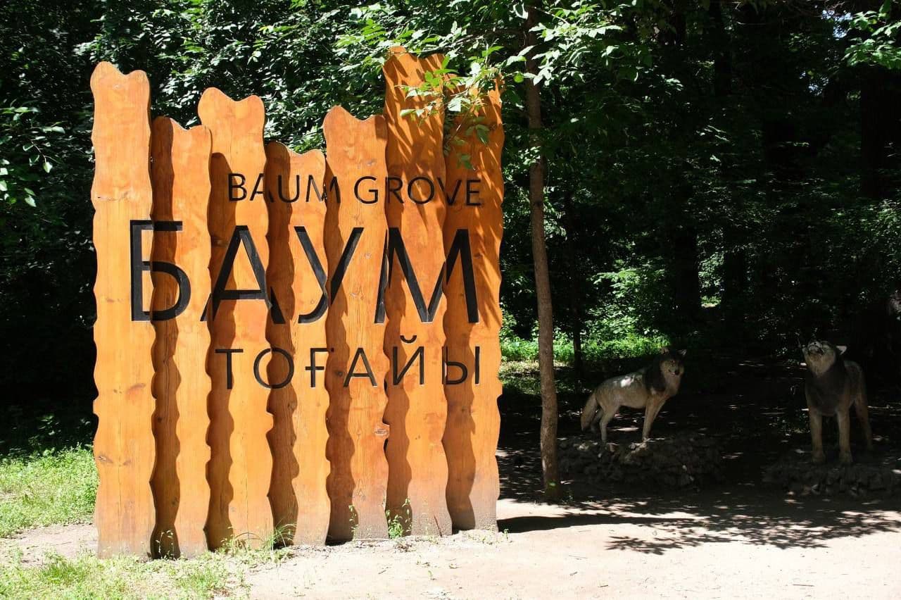 Почему важно благоустроить Рощу Баума объяснили в Алматы