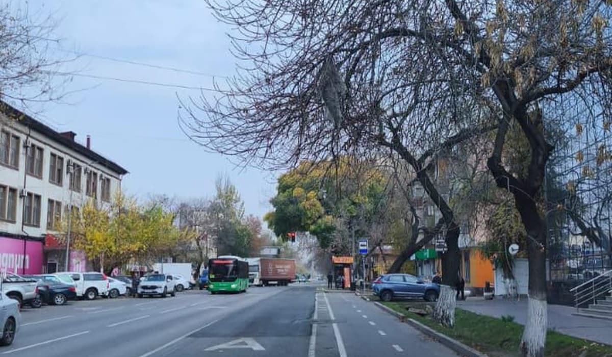 Для повышения качества уборки снега в Алматы демонтируют болларды на проезжей части