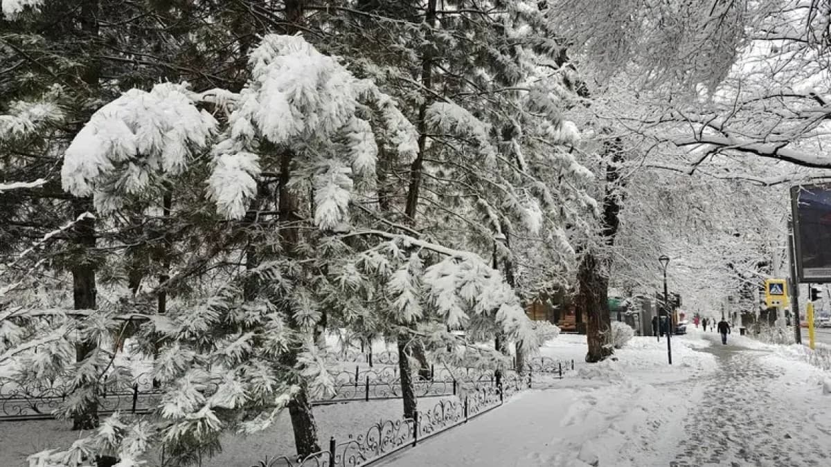 30 градус суық: қатты аяз бен боран соғатын жерлер жарияланды