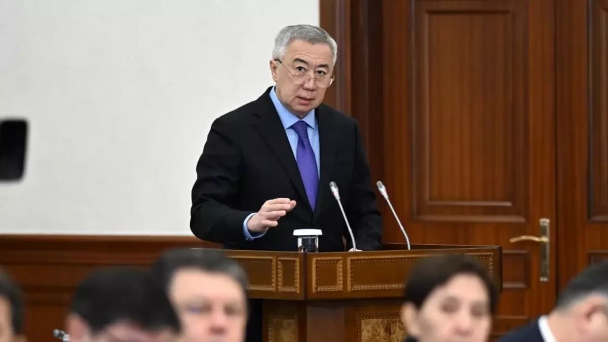Супруга министра нацэкономики Казахстана заработала почти 89 млн тенге за год