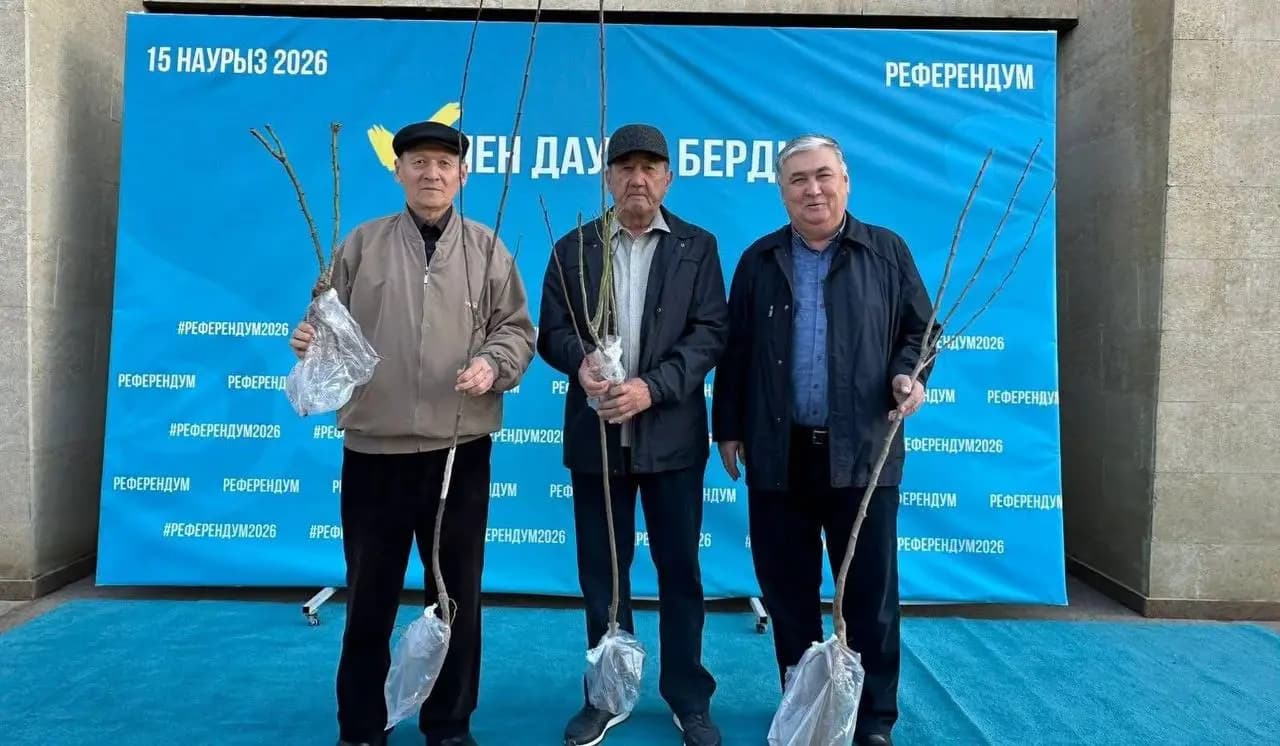 Дауыс бер де, ағаш отырғыз: Ордабасыдағы учаскенің ерекше бастамасы