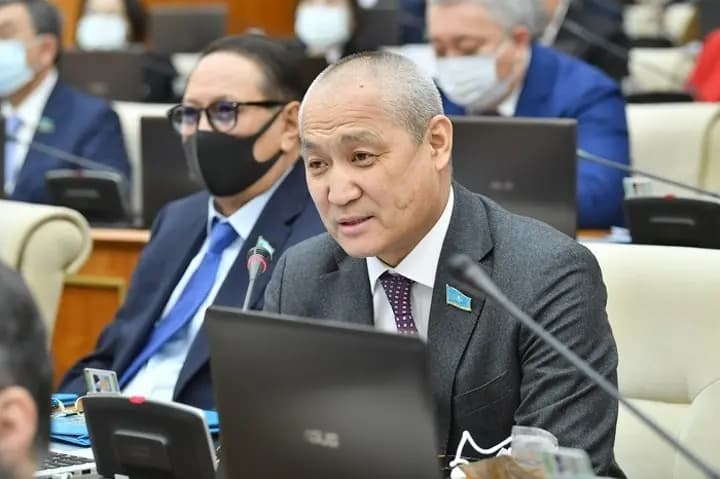 Где миллиарды, выделенные зооорганизациям? Депутаты потребовали провести проверку