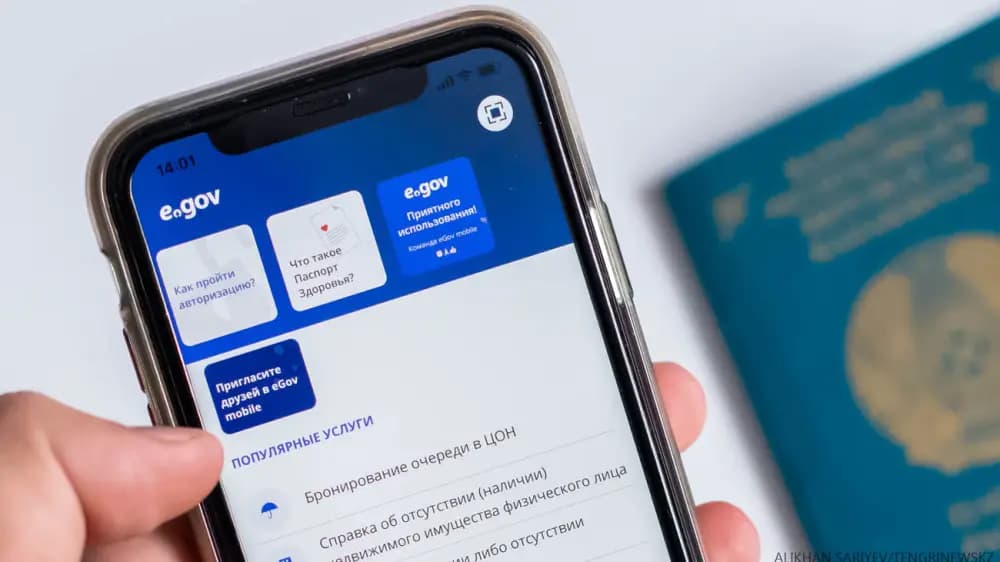 Шетелде ЖСН рәсімдеу туралы хабарландырулар тарады: ІІМ тексеріс бастады