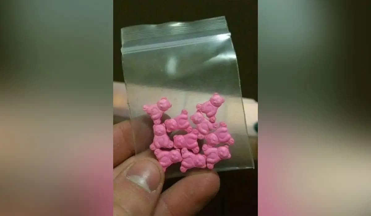 «Есірткі қосылған кәмпит таратылды»: жалған ақпарат Қазақстаннан Әзербайжанға жеткен