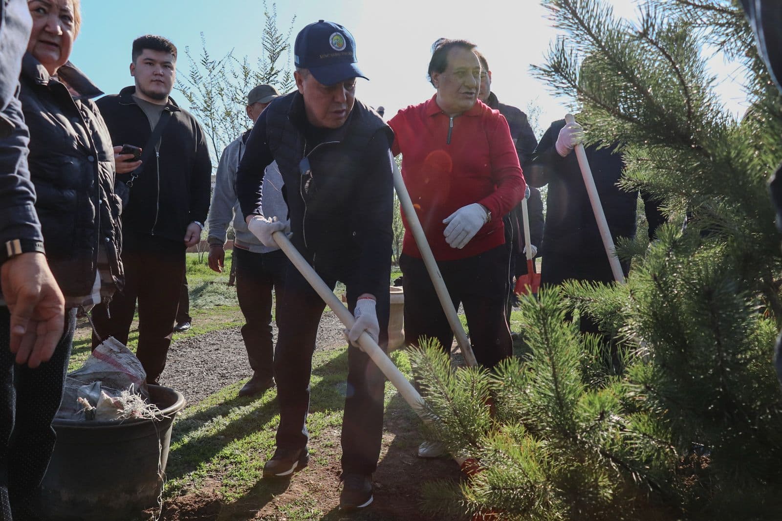 Таза Қазақстан: Батыс Қазақстан облысында 228 мың көшет отырғызылады