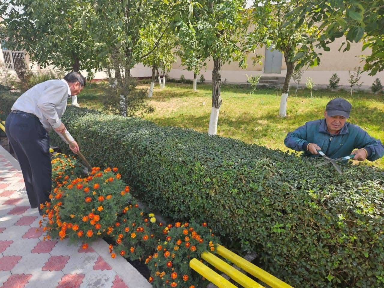 Кәсіподақтар федерациясының 35 жылдығына орай Түркістанда сенбілік өтті