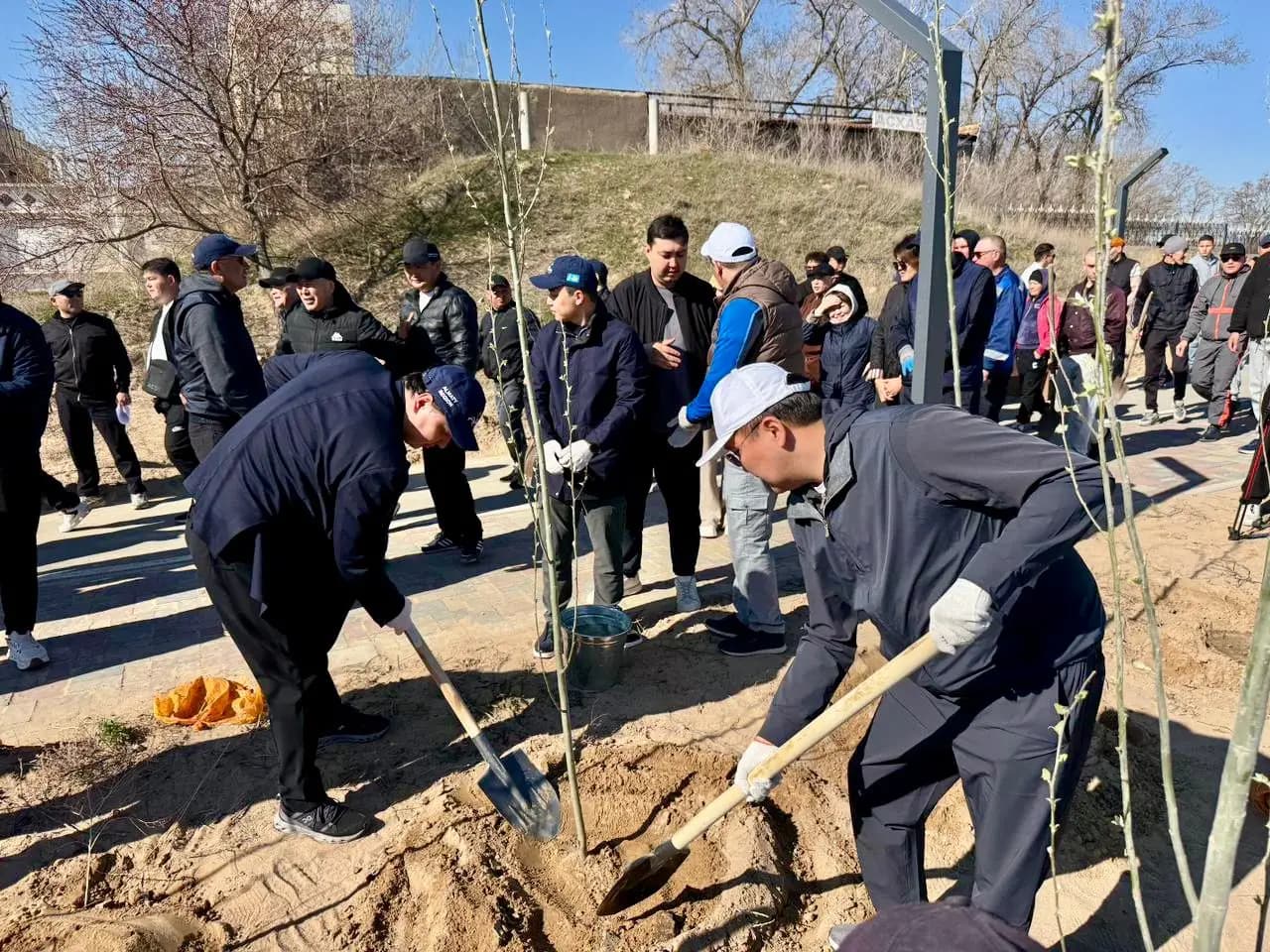 Алматы облысында 45 гектар аумақ тазартылып, 5 мыңнан астам ағаш егілді