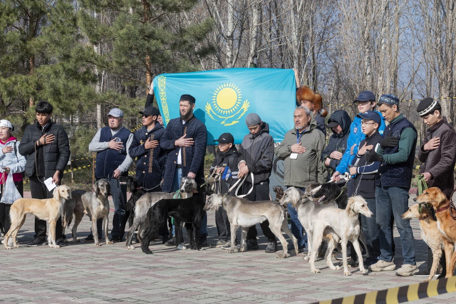Ақтөбеде қазақы тазының үздік өкілдері тұқымдық байқауда бағаланды