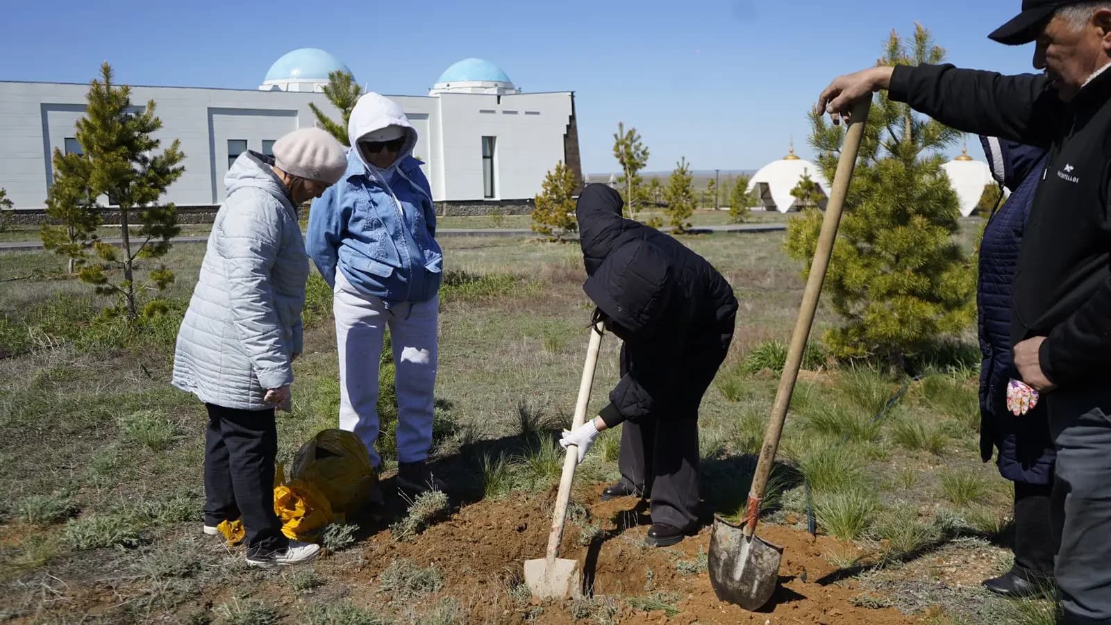 В области Ұлытау в рамках акции «Таза Казахстан» высадили 1550 деревьев