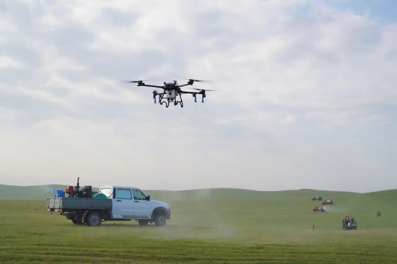 Түркістан облысында шегірткеге қарсы күрес күшейді