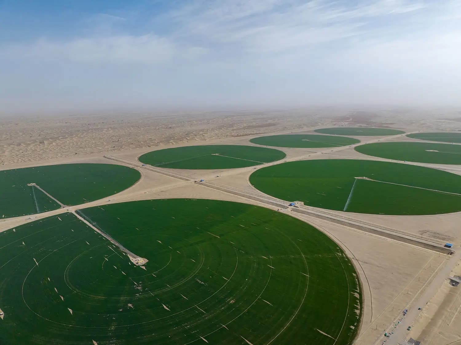 Песчаные земли превращаются в плодородные поля: на окраине пустыни Такла-Макан появились «зелёные круги»