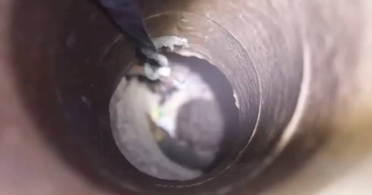 3-year-old boy rescued after falling into 18-metre well in Syria