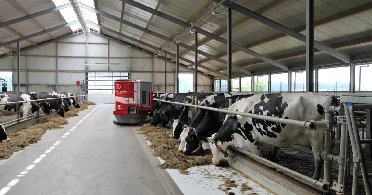$9.5 million for agriculture: Kazakhstan and FAO launch new projects