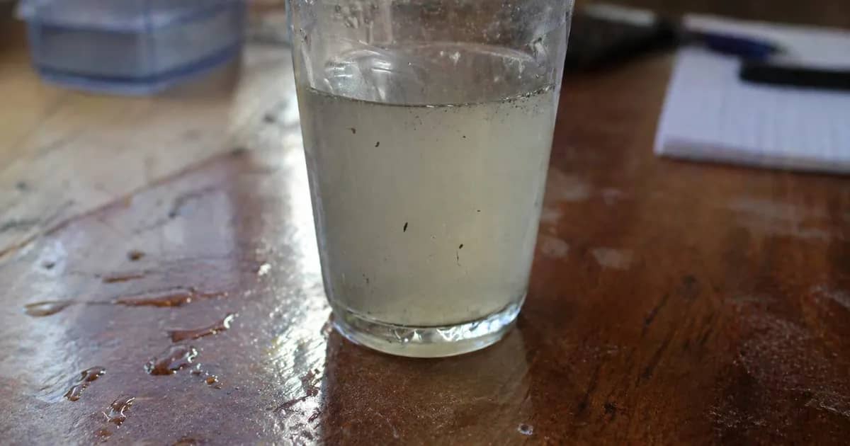 Clean water shortage kills 1.4 million people annually