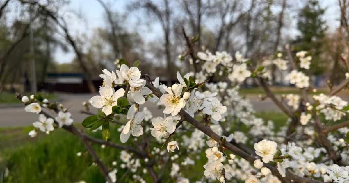 May holidays in Almaty region: bike ride, festivals, and big sports — events from May 1 to May 9