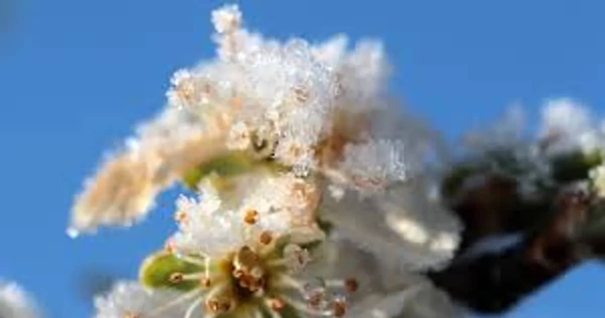 Sharp Cold Snap: Powerful Anticyclone Hits Kazakhstan