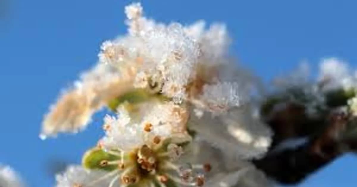 Sharp Cold Snap: Powerful Anticyclone Hits Kazakhstan