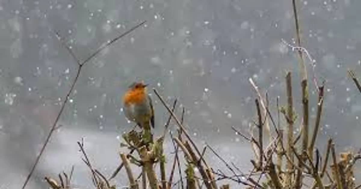 Snow and Frost to Return to Kazakhstan: Kazhydromet Issues Warning
