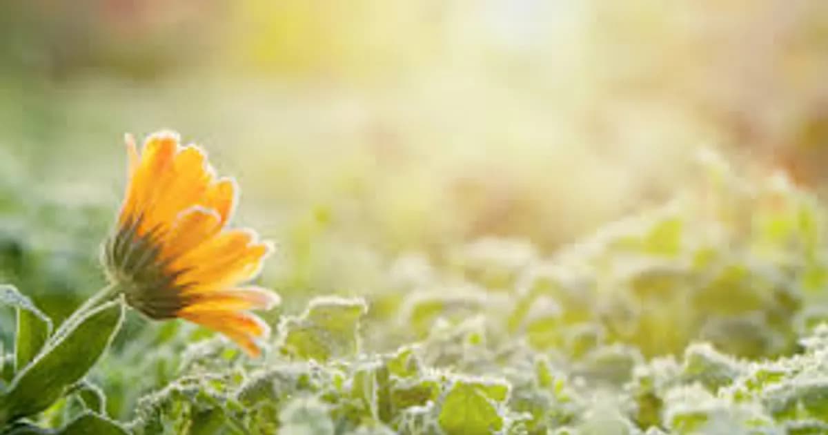 Storm Warning Issued for Kazakhstan: What Weather to Expect on May 12?