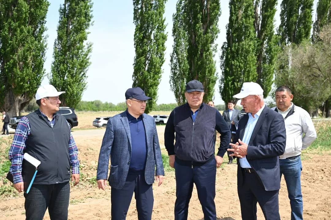 In Zhetysu, farms are introducing new agricultural technologies into crop fields.