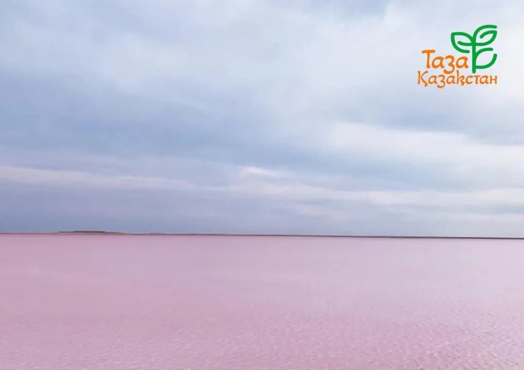 Мемлекет басшысы Көбейтұз көлінің жай-күйіне назар аударды